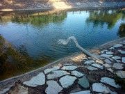 as5.postimg.org_s2qq4jsfn_IMG_20170501_194444.jpg