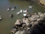 as5.postimg.org_t9plmg0mr_IMG_20170605_121522.jpg