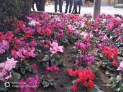 as5.postimg.org_thl0rkozn_IMG_20180201_131434.jpg