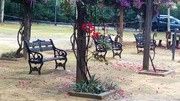 as5.postimg.org_tx6qkf1gz_IMG_20161120_143010.jpg
