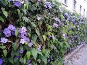 as5.postimg.org_wa2oayjeb_IMG_20170426_195813.jpg