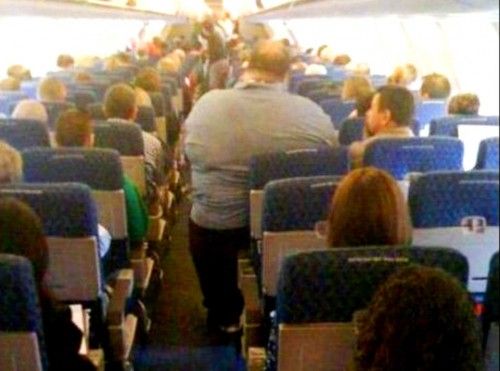 astatic.hosteltur.com_web_uploads_2012_06_1_gordo_american_air_961.jpg