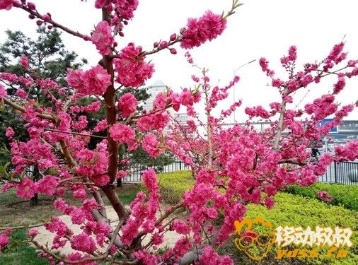 att.ydss.cn_attachments_forum_201604_07_123711zsb1y259yy9q28yz.jpg