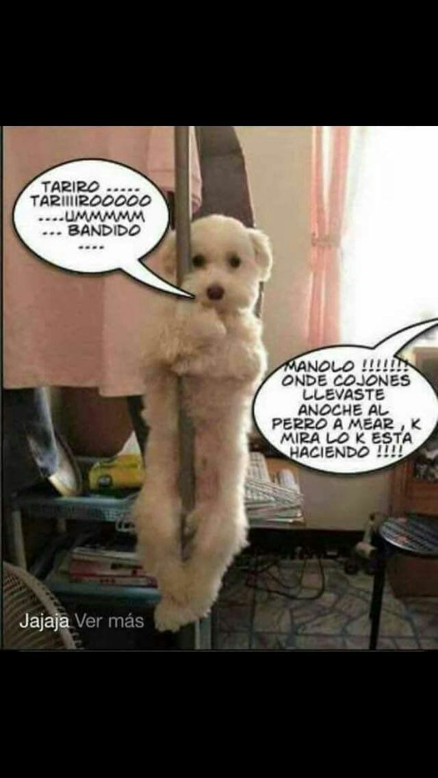 auploads.tapatalk_cdn.com_20170201_03f146d15497ac6ff438fb036a9dd2b3.jpg