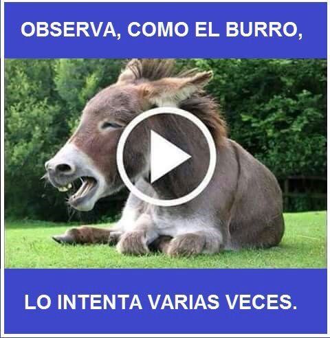 auploads.tapatalk_cdn.com_20170513_4938e45d6334e3a4657bad32deb404ff.jpg