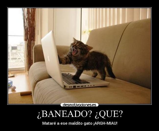 auploads.tapatalk_cdn.com_20170604_11c62019b187a4eb33df56ea8ba3435d.jpg
