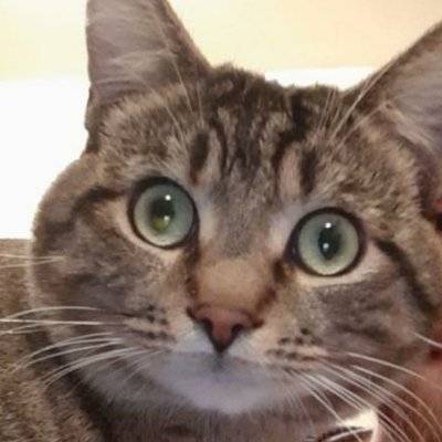 avatar.jpg
