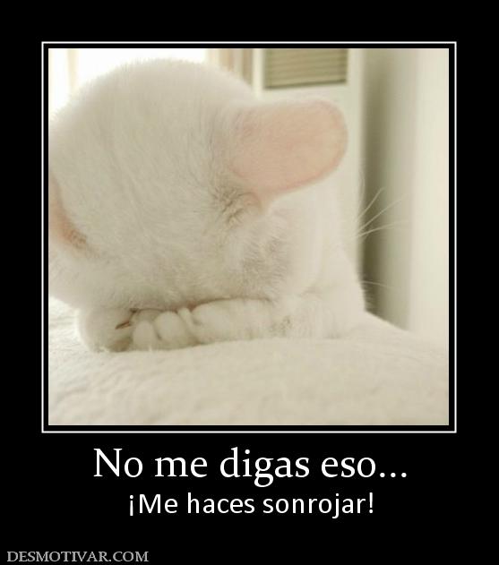 awww.desmotivar.com_img_desmotivaciones_6350_no_me_digas_eso.jpg