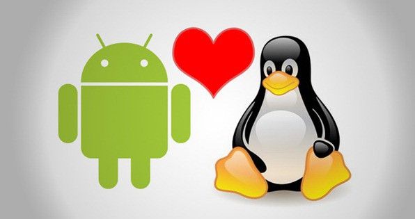 awww.elandroidelibre.com_wp_content_uploads_2012_03_androidlinux.jpg