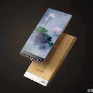 awww.elandroidelibre.com_wp_content_uploads_2016_11_nubia_light_wood_bezeless_phone_190x190.jpg