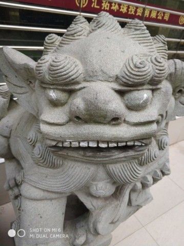 awww.gizmochina.com_wp_content_uploads_2017_06_Xiaomi_Mi_6_camera_sample_5_766x1024_640x480.jpg