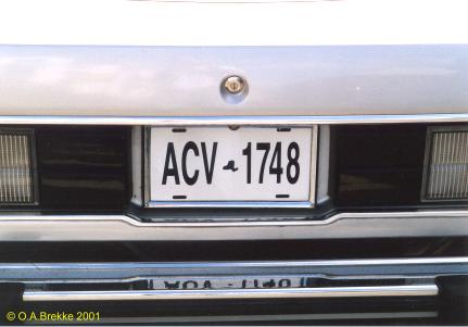awww.olavsplates.com_foto_u_usa_ny_acv1748.jpg