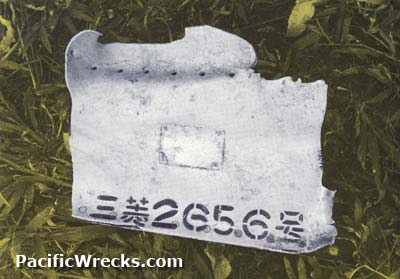 awww.pacificwrecks.com_aircraft_g4m_2656_1970_2656_piece.jpg