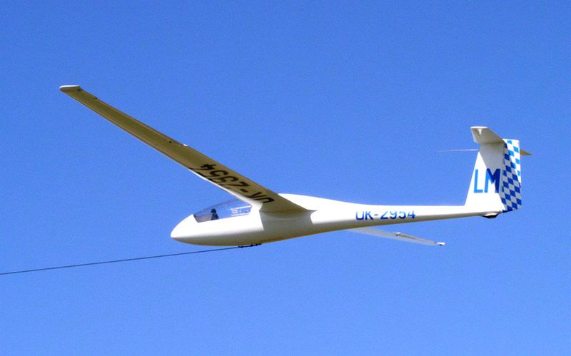 awww.standardcirrus.org_Images_OK_2954.jpg