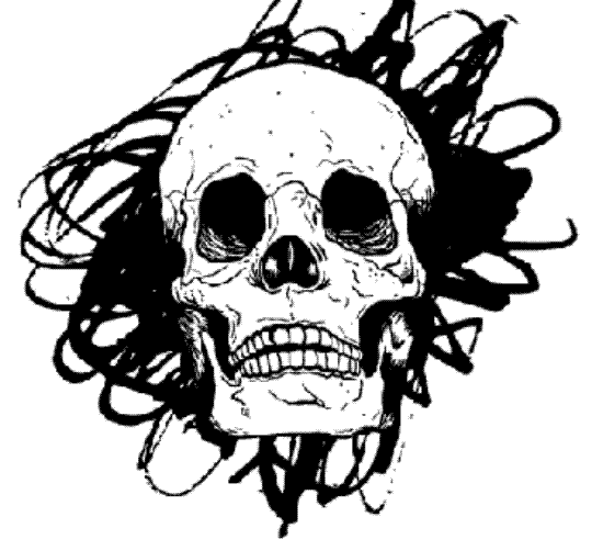 blog.tshirt_factory.com_wp_content_uploads_2011_04_Skull_Vector_1_Blog.gif