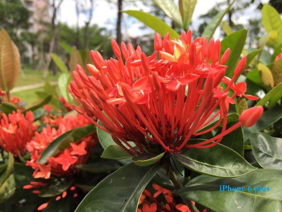 blog.ulefone.com_wp_content_uploads_2015_05_3_3_1024x768.jpg