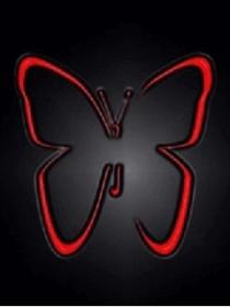 butterfly.jpg