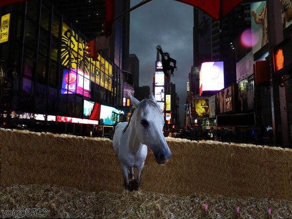 caballo1.jpg