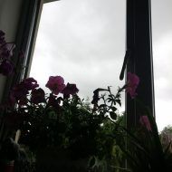 camara-google-hdr-xda-2-190x190.jpg