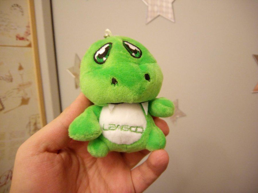 camera_leagoo_shark1_24.jpg