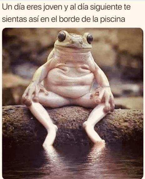 Captura.PNGranita.PNG