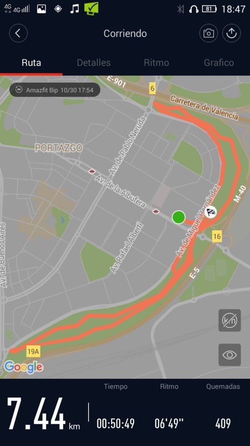 Captura_Amazfit_bip2017-10-30-18-47-47-461.jpeg