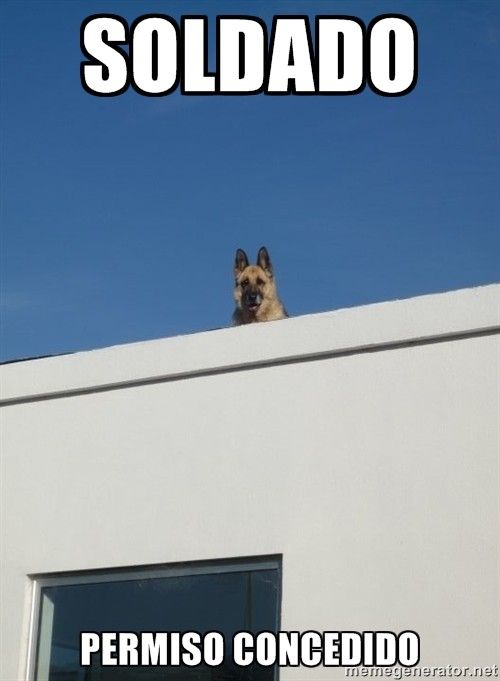 cdn.meme.am_instances_500x_11646750.jpg