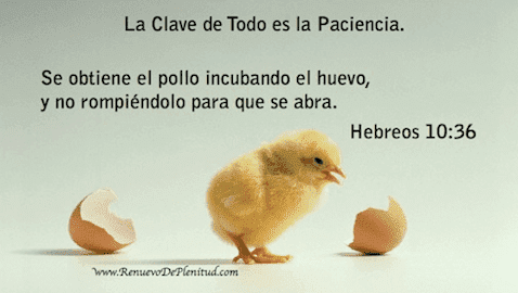 cdn02.rdpstatic.com_wp_content_uploads_promesa_clave17d.png