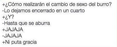 Chiste5.jpg