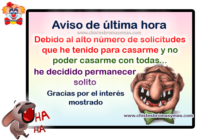 chisteavisodeultimahora.png
