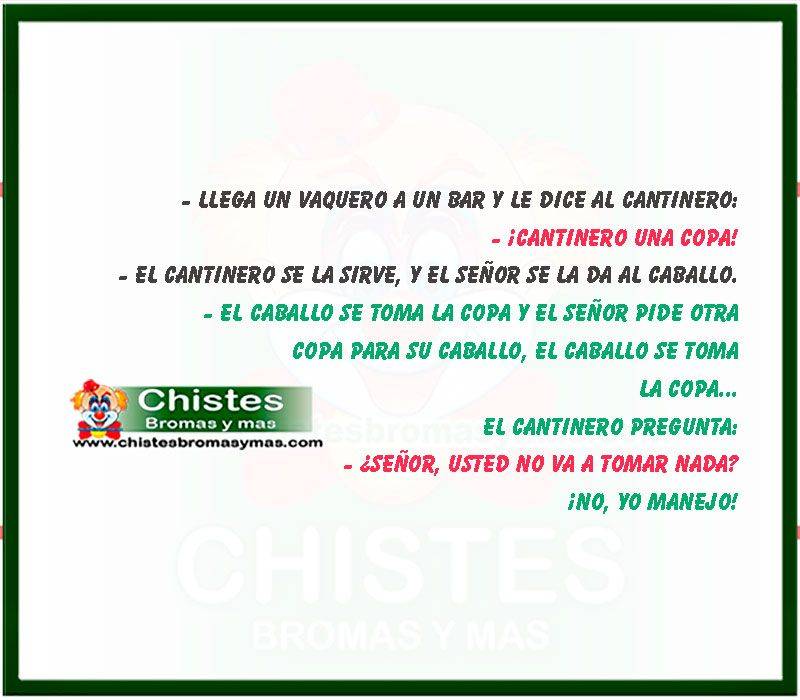 chistes-de-animales-Vaquero-sobrio.jpg