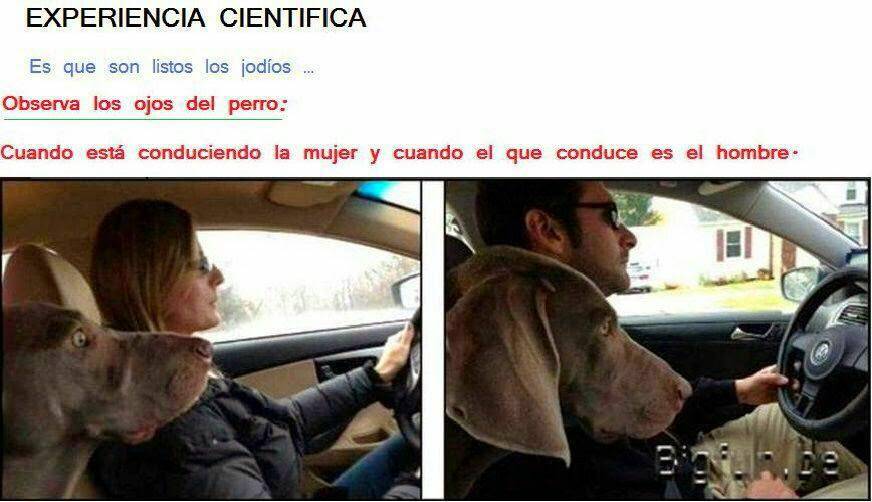 conduccion femenina.jpg