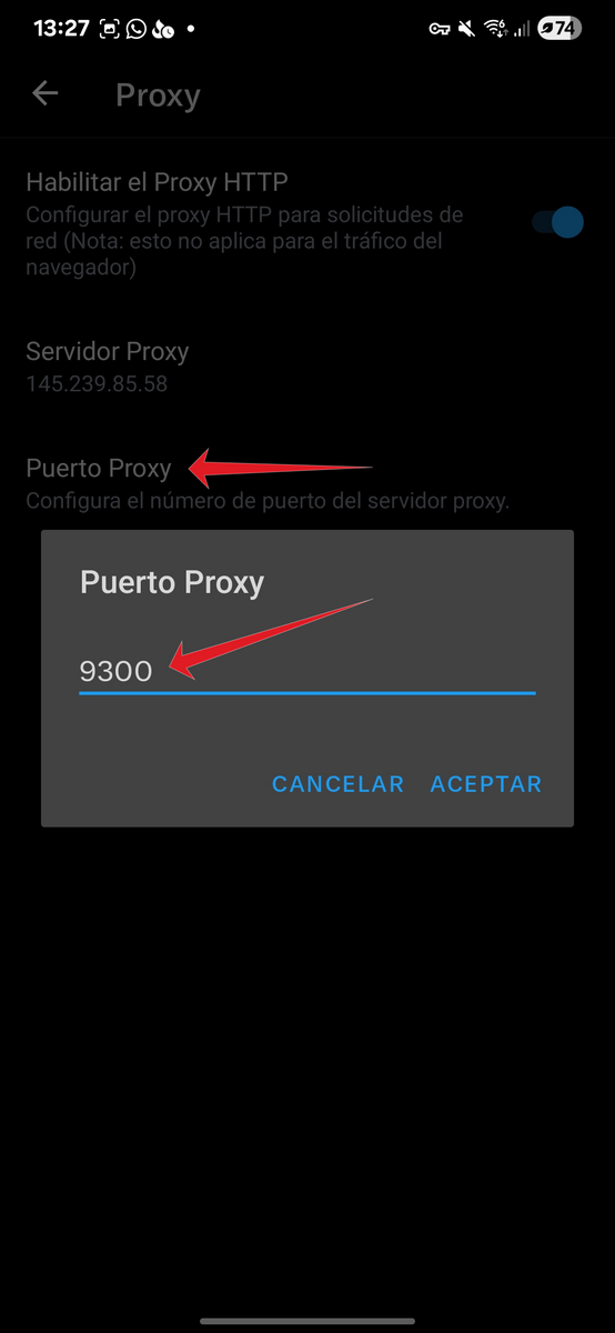 configurar-proxy-en-x-5.png