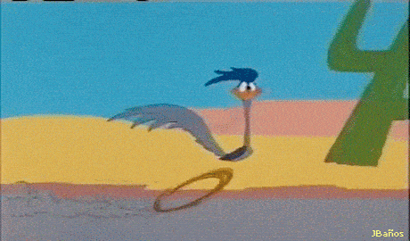 coyote-18.gif