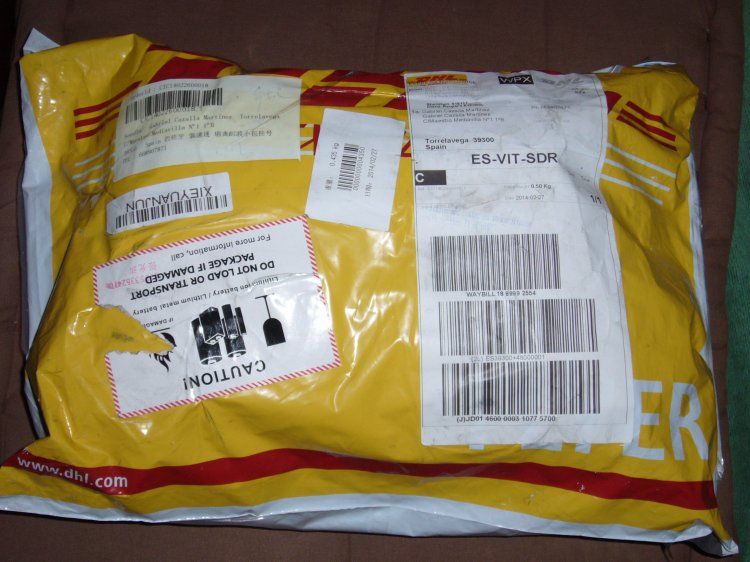 Dhl.