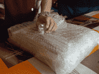 DSCF0729.png