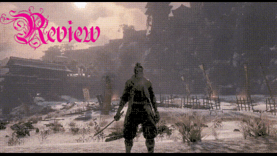 EL NUEVO DE REVIEW.gif