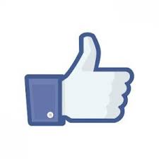 encrypted_tbn1_gstatic_com_images_7b855f7a60162232c2bfe9eca879fac1._.jpg