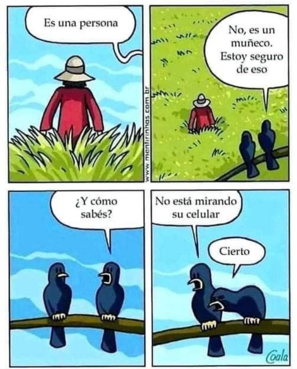 Espantapájaros.jpeg