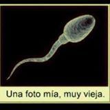 fbcdn_profile_a.akamaihd.net_hprofile_ak_xpa1_t1.0_1_p160x160_2b35471120376cbbad85954ebfac0991.jpg