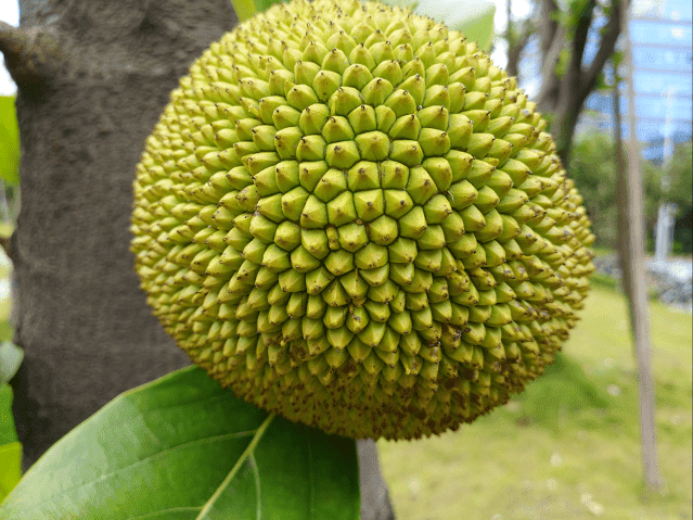 fdzeta.com_subir_images_NIsmB.png