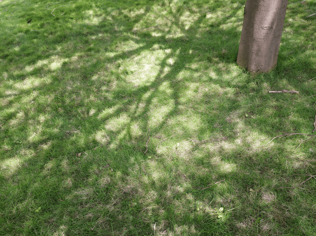 fdzeta.com_subir_images_WsgOh.png