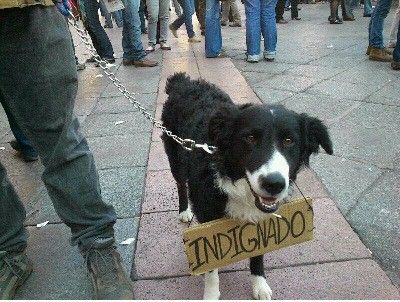 filete indignado 1.jpg