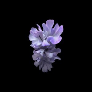fondo-pantalla-samsung-galaxy-z-flip-300x300.png