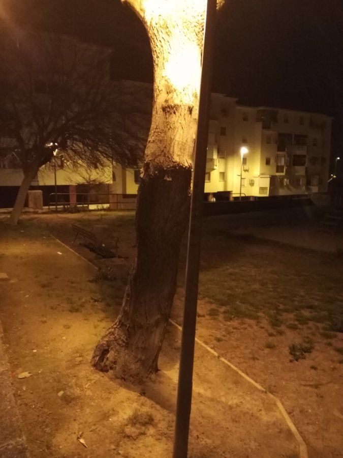 Foto 1.jpg