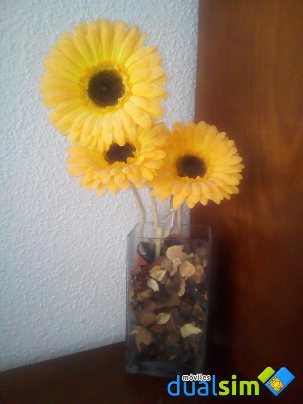 foto (24).jpg