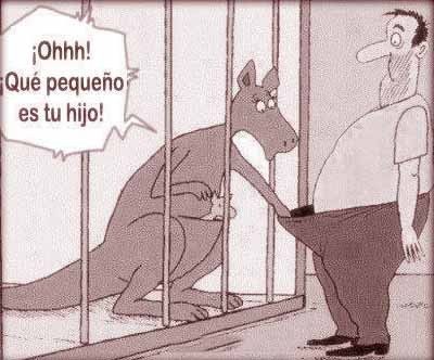 fotosparacelulares.com_wp_content_uploads_2015_09_imagenes_con_chistes_para_facebook.jpg