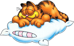 Garfield.png