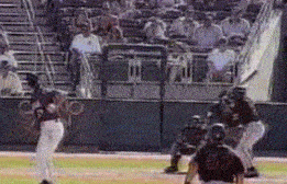 giphy.gif