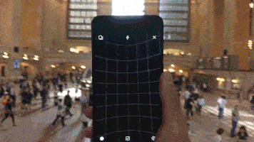 giphy.gif